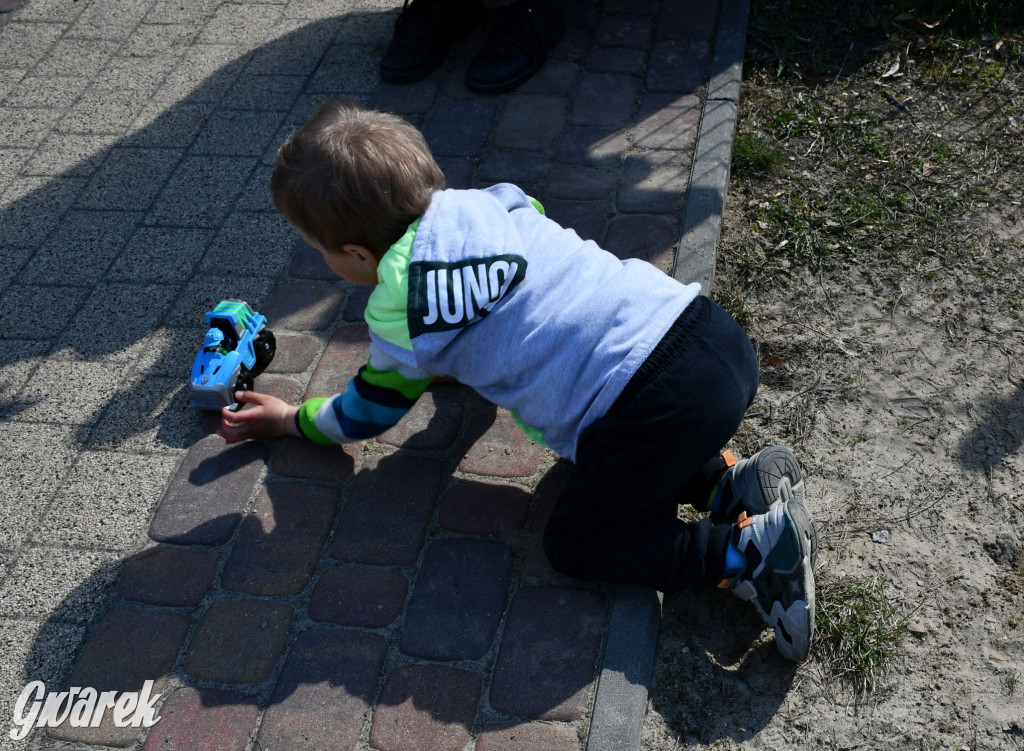 Biegi i podchody z psami nad Zalewem Nakło-Chechło