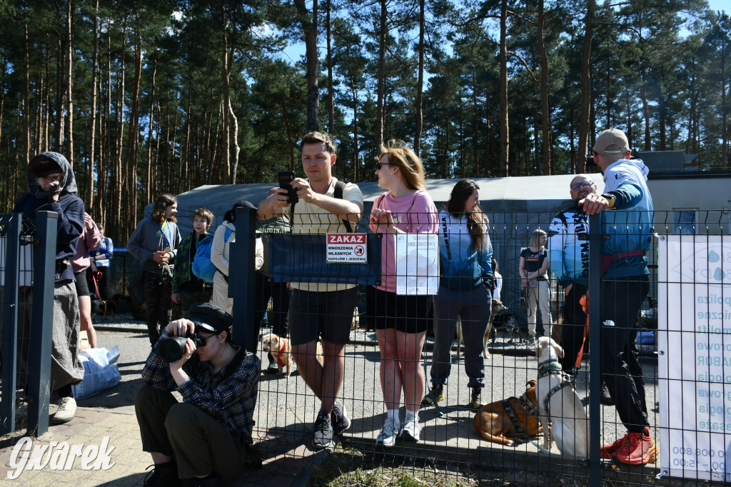 Biegi i podchody z psami nad Zalewem Nakło-Chechło