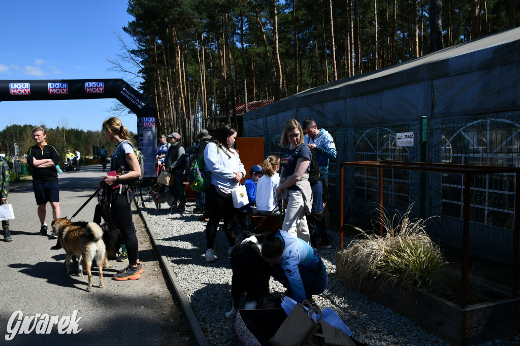 Biegi i podchody z psami nad Zalewem Nakło-Chechło