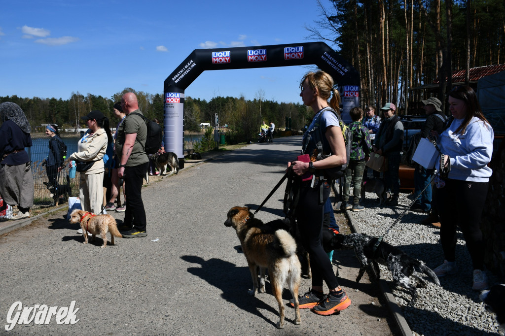 Biegi i podchody z psami nad Zalewem Nakło-Chechło
