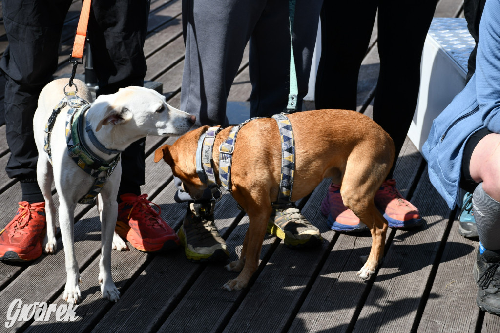 Biegi i podchody z psami nad Zalewem Nakło-Chechło