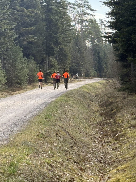 Technikum Leśne w Brynku mistrzem Polski