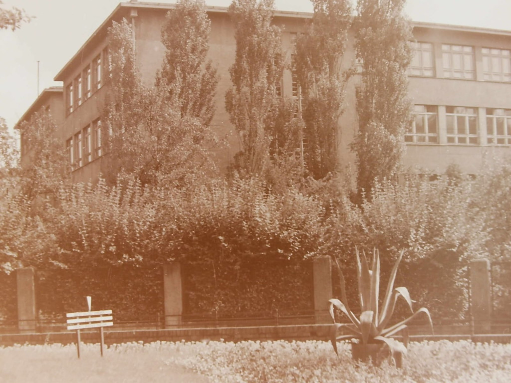 Tarnowskie Góry, lata 60. Te zdjęcia warto zobaczyć!