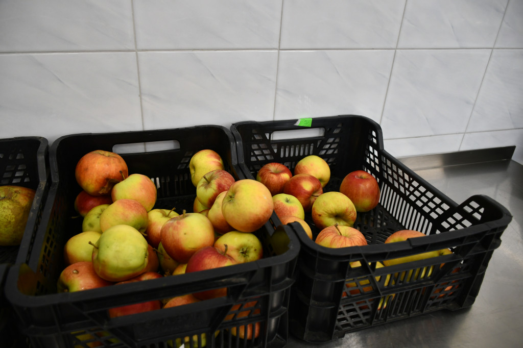 Wielkie gotowanie w Gastronomiku. Jabłko w roli głównej