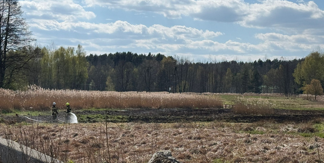 Pożar w Pniowcu. W akcji 7 zastępów straży pożarnej