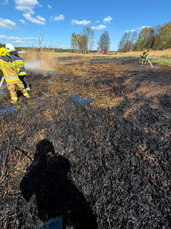 Pożar w Pniowcu. W akcji 7 zastępów straży pożarnej