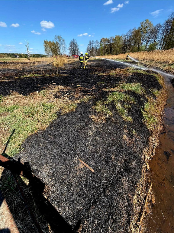 Pożar w Pniowcu. W akcji 7 zastępów straży pożarnej