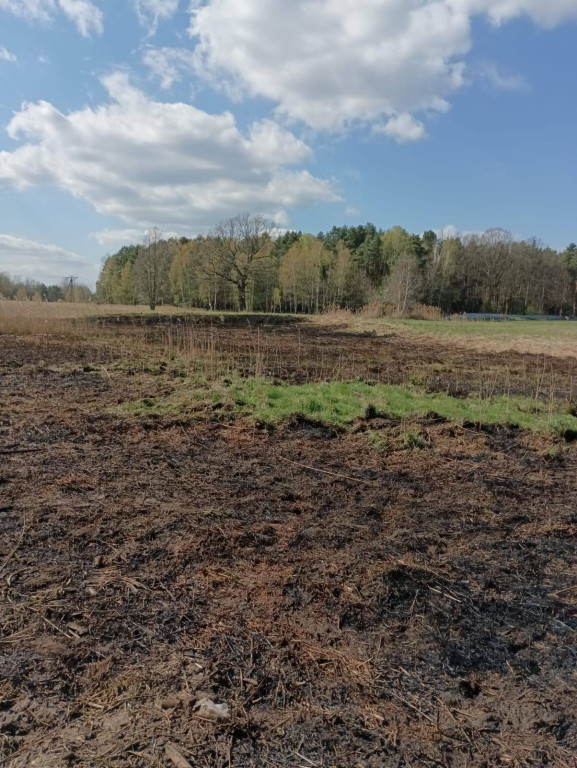 Pożar w Pniowcu. W akcji 7 zastępów straży pożarnej