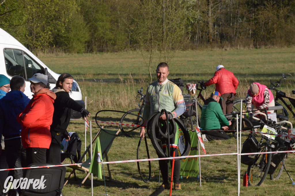 Rajzowanie po kalyckich stanicach przyciągnęło tłumy