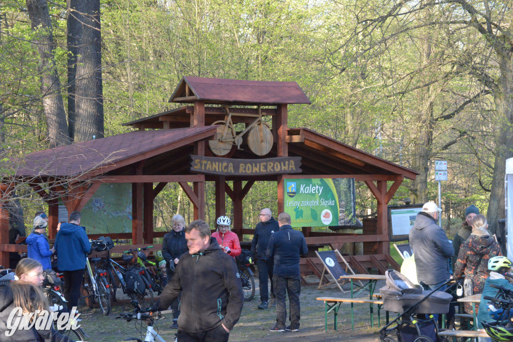 Rajzowanie po kalyckich stanicach przyciągnęło tłumy