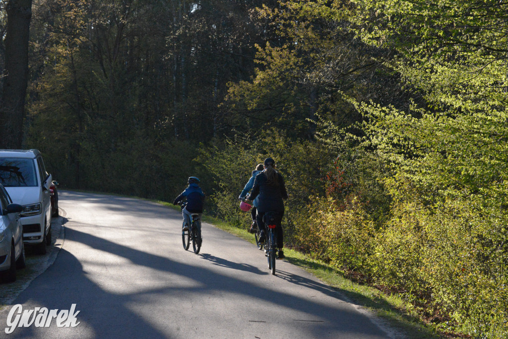 Rajzowanie po kalyckich stanicach przyciągnęło tłumy