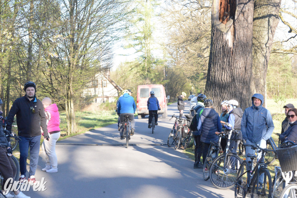 Rajzowanie po kalyckich stanicach przyciągnęło tłumy