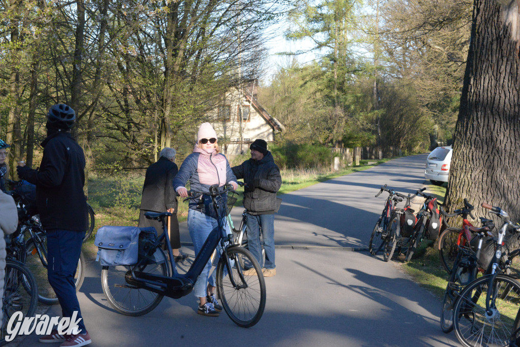 Rajzowanie po kalyckich stanicach przyciągnęło tłumy