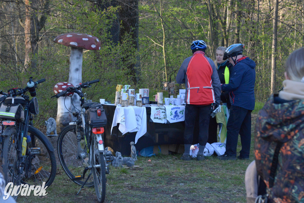 Rajzowanie po kalyckich stanicach przyciągnęło tłumy