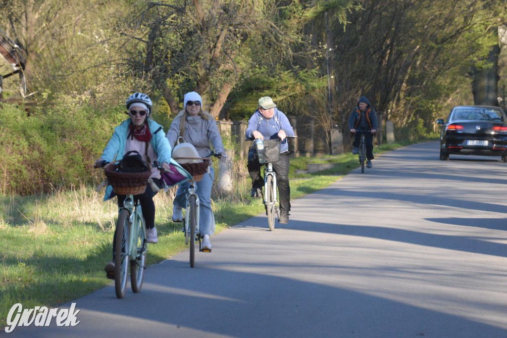 Rajzowanie po kalyckich stanicach przyciągnęło tłumy