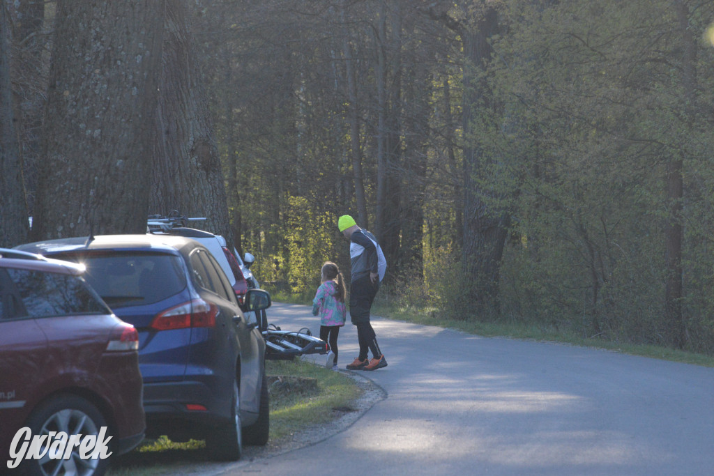 Rajzowanie po kalyckich stanicach przyciągnęło tłumy