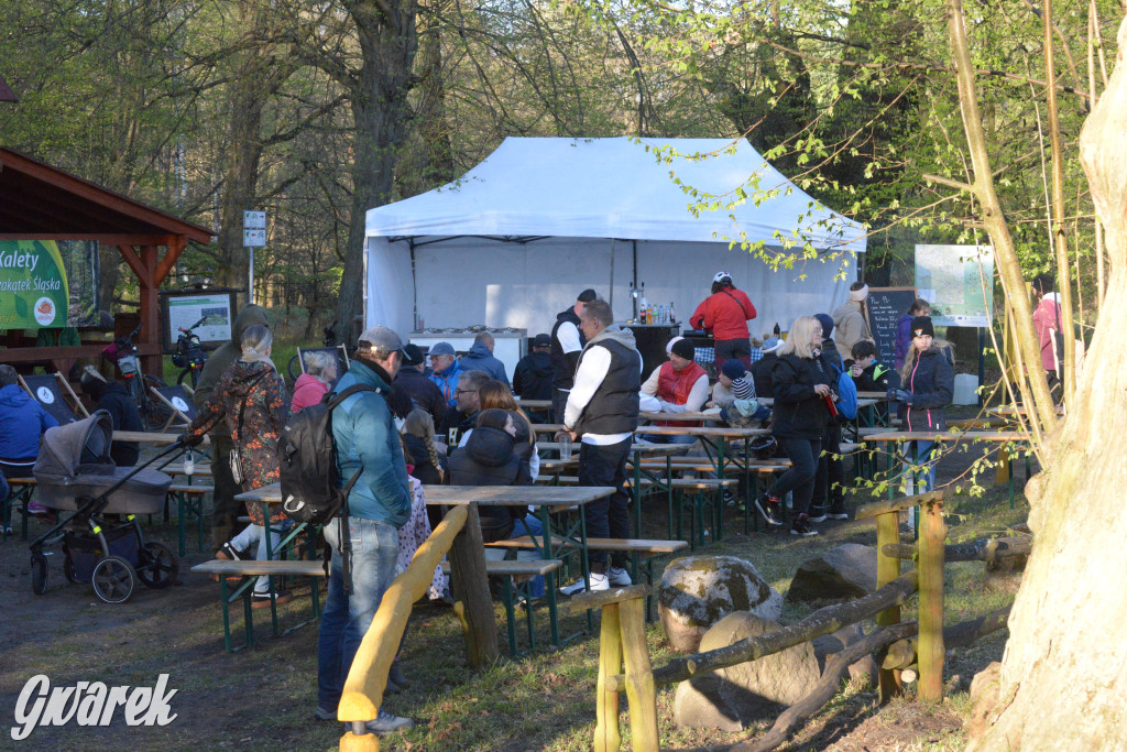 Rajzowanie po kalyckich stanicach przyciągnęło tłumy