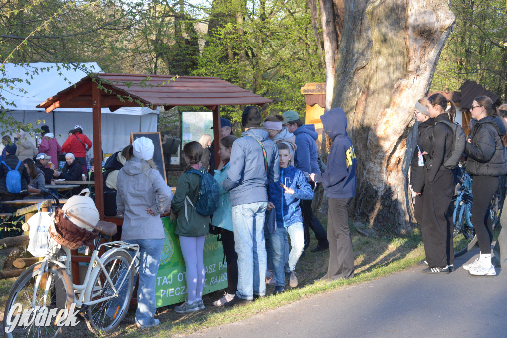 Rajzowanie po kalyckich stanicach przyciągnęło tłumy