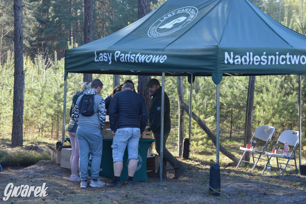 Rajzowanie po kalyckich stanicach przyciągnęło tłumy