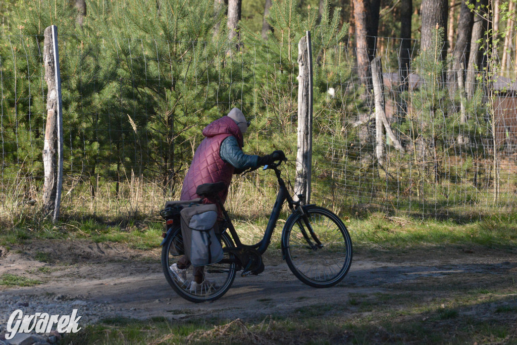 Rajzowanie po kalyckich stanicach przyciągnęło tłumy