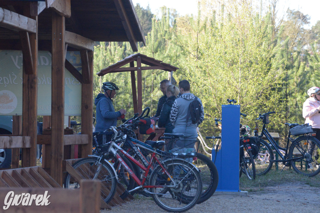 Rajzowanie po kalyckich stanicach przyciągnęło tłumy