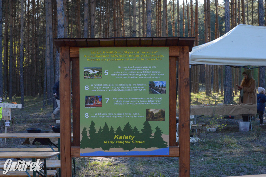 Rajzowanie po kalyckich stanicach przyciągnęło tłumy