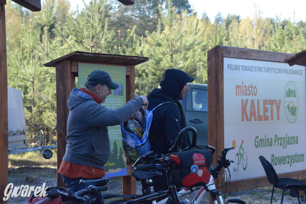Rajzowanie po kalyckich stanicach przyciągnęło tłumy