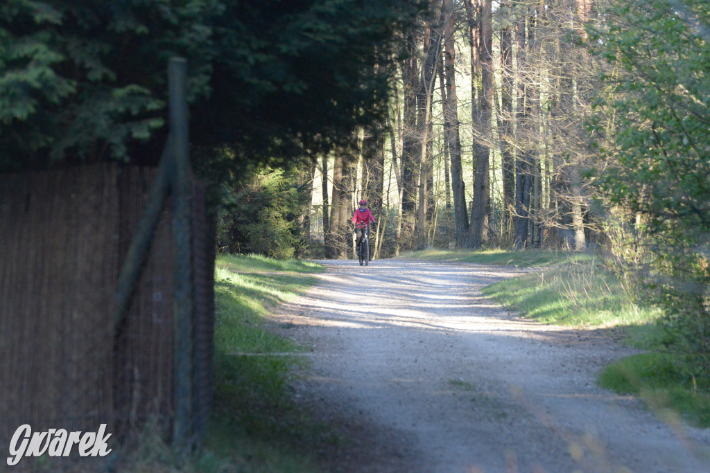Rajzowanie po kalyckich stanicach przyciągnęło tłumy