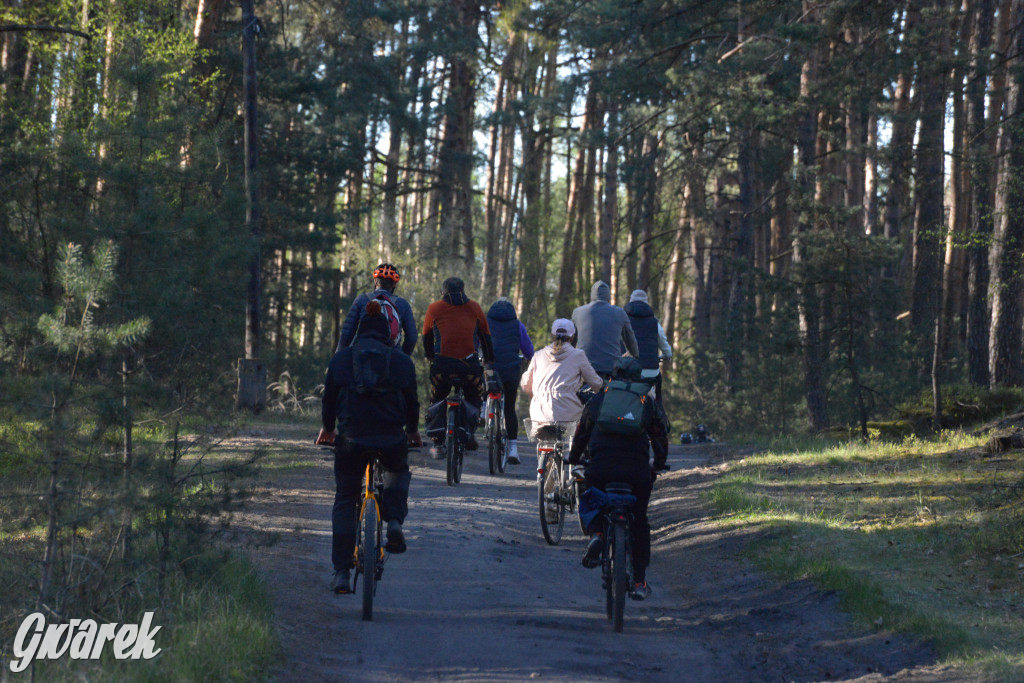Rajzowanie po kalyckich stanicach przyciągnęło tłumy
