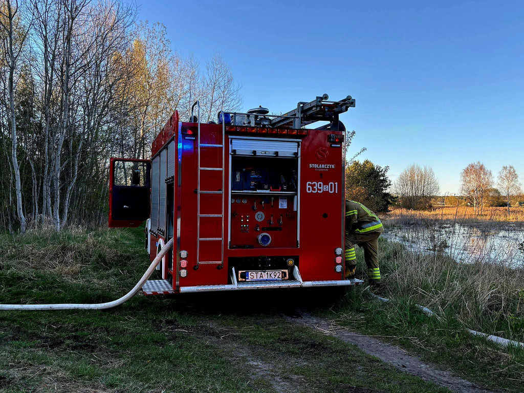 Znowu pożar sitowia w okolicy Pniowca i Strzybnicy