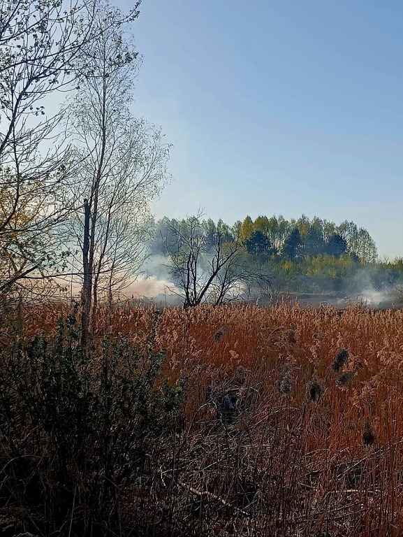 Znowu pożar sitowia w okolicy Pniowca i Strzybnicy
