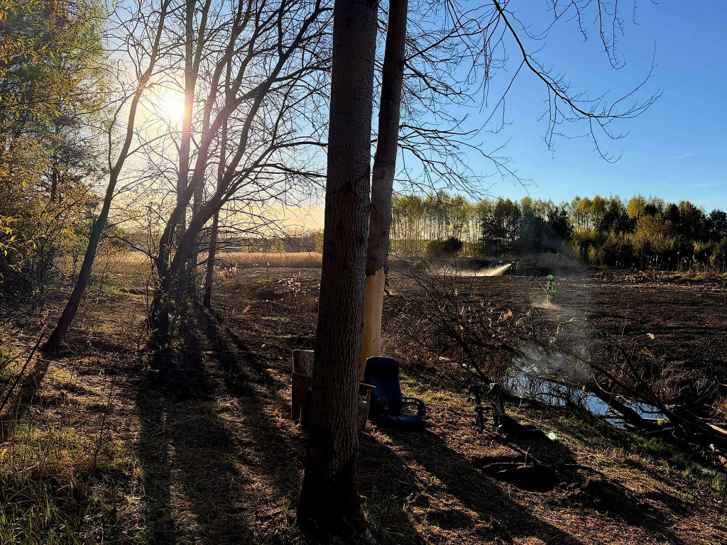 Znowu pożar sitowia w okolicy Pniowca i Strzybnicy