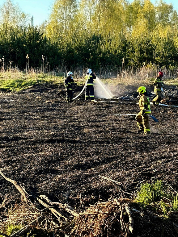 Znowu pożar sitowia w okolicy Pniowca i Strzybnicy