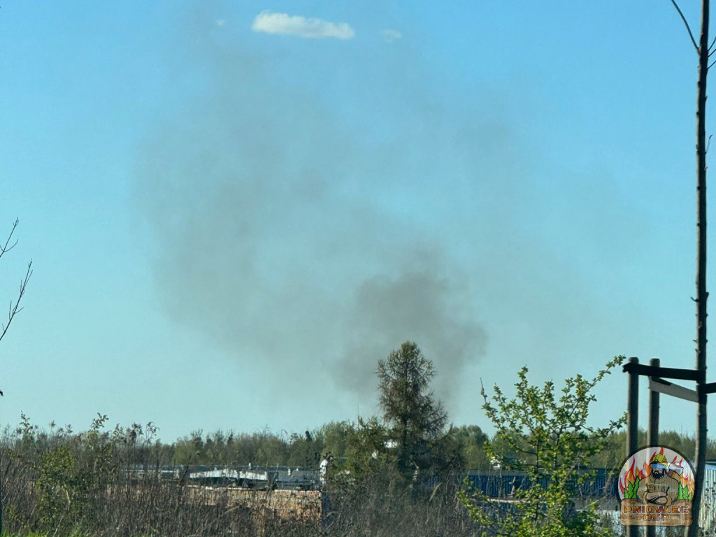 Znowu pożar sitowia w okolicy Pniowca i Strzybnicy