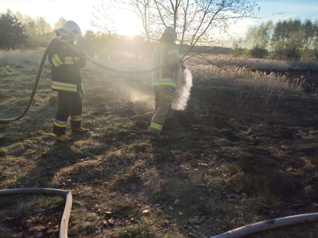 Znowu pożar sitowia w okolicy Pniowca i Strzybnicy