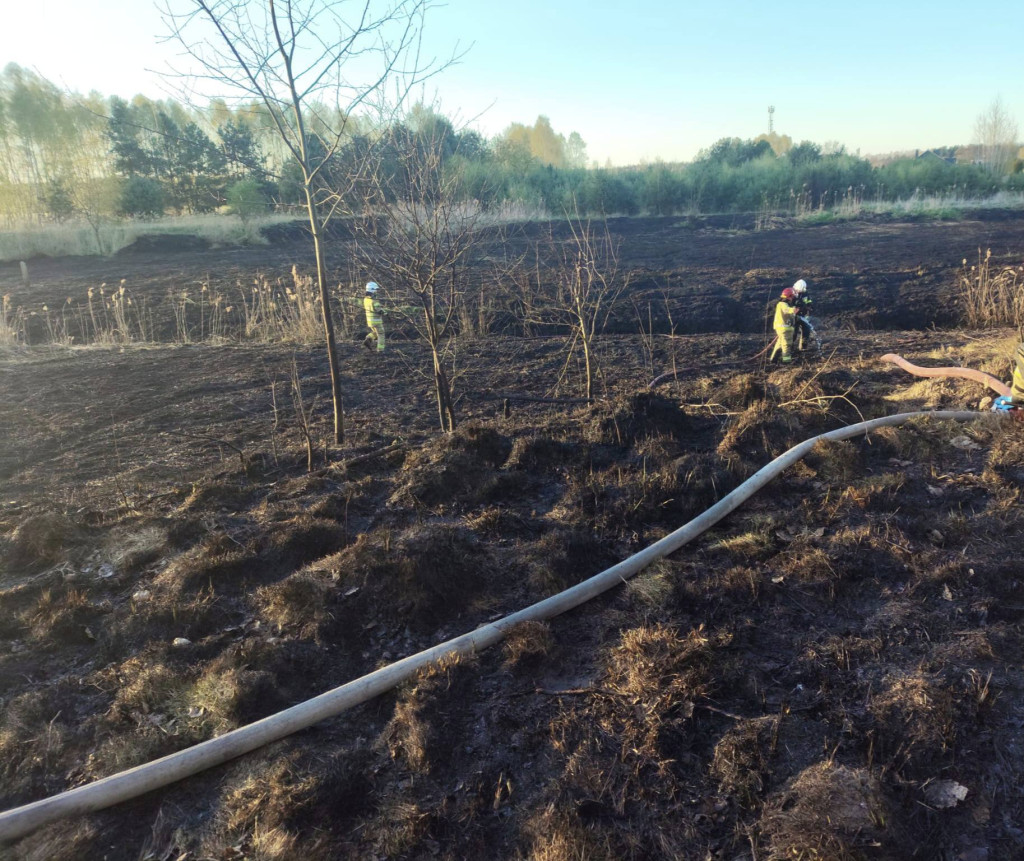 Znowu pożar sitowia w okolicy Pniowca i Strzybnicy
