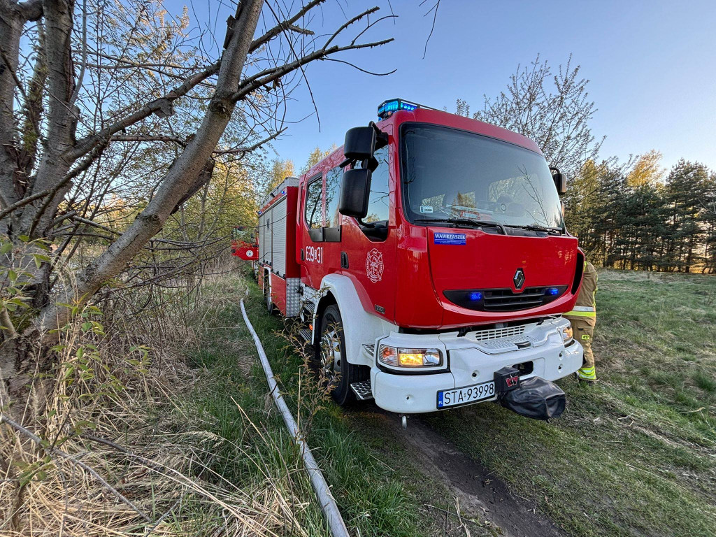 Znowu pożar sitowia w okolicy Pniowca i Strzybnicy