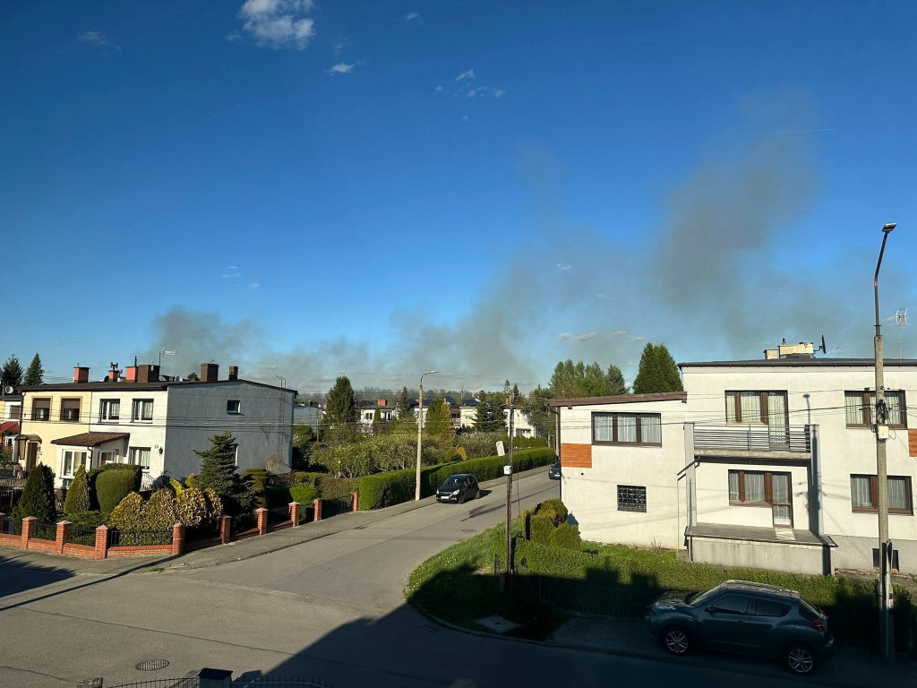 Znowu pożar sitowia w okolicy Pniowca i Strzybnicy