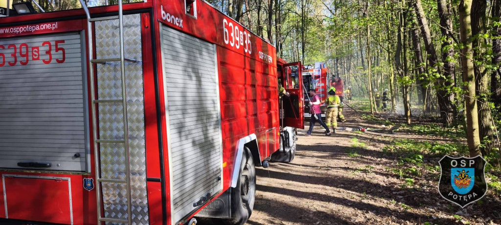 Powiat tarnogórski. Pożar przy ul. Leśnej. Akcja zastępów OSP