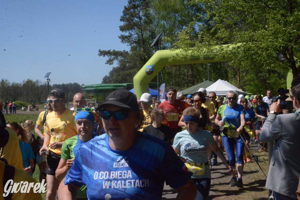 Wings for Life World Run 2026 w Kaletach