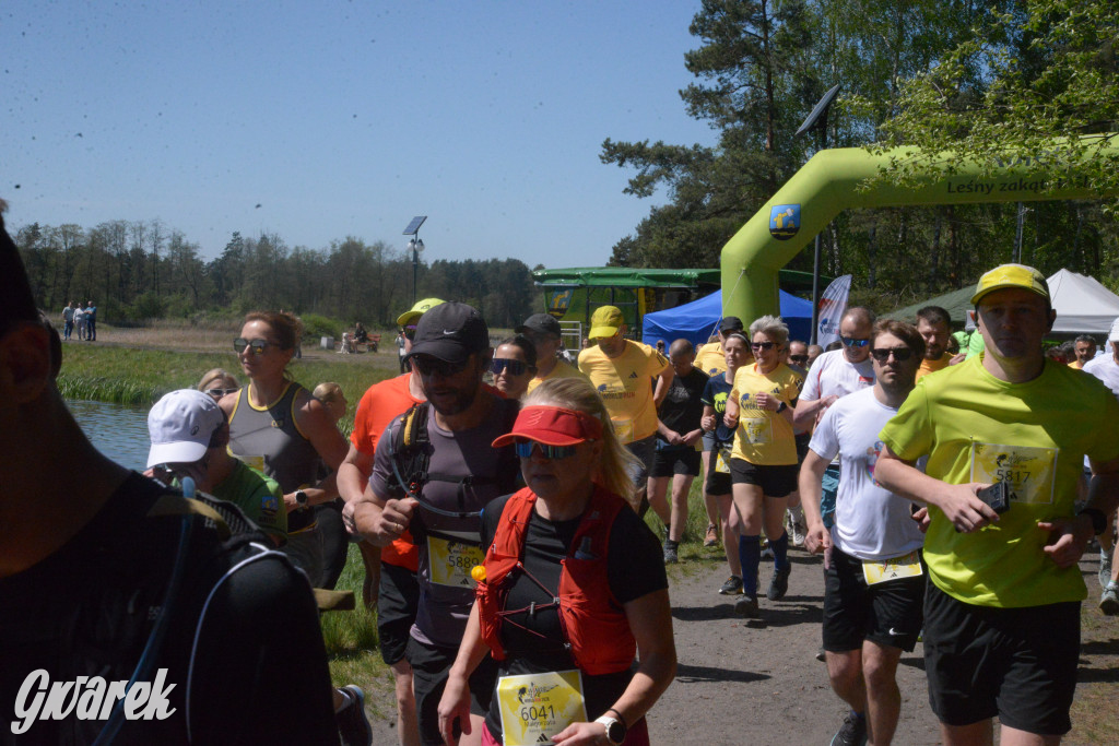 Wings for Life World Run 2026 w Kaletach