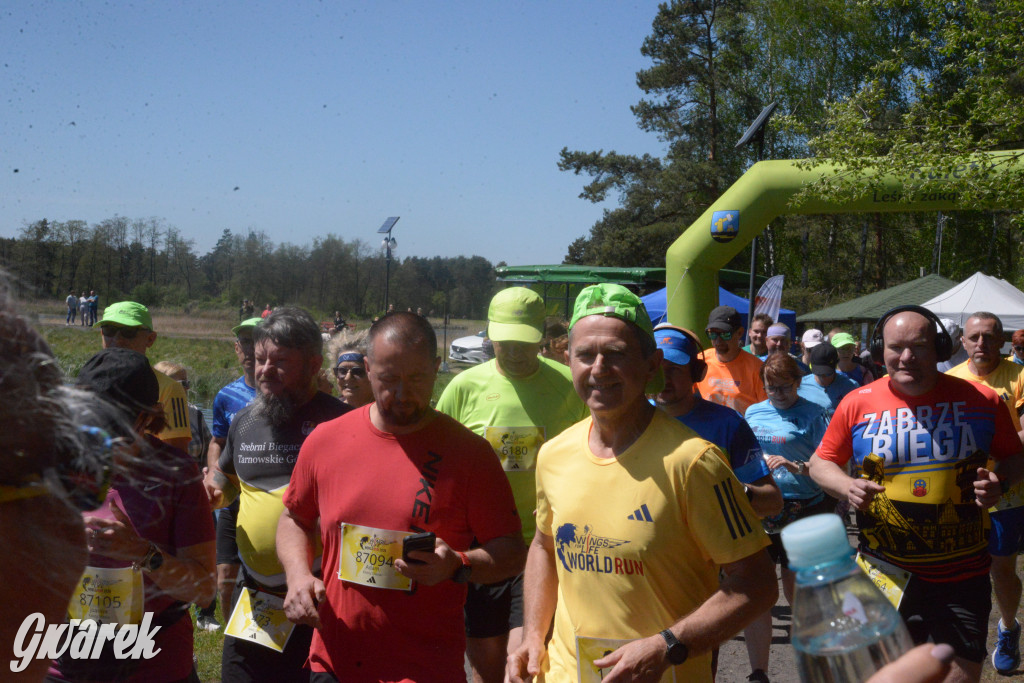 Wings for Life World Run 2026 w Kaletach