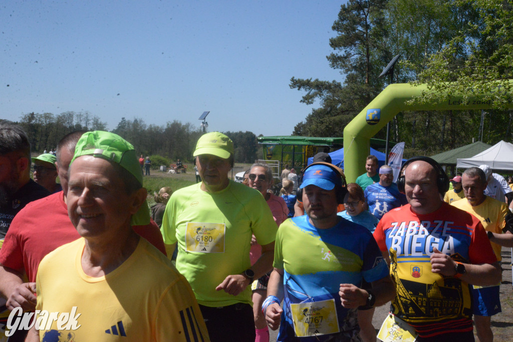 Wings for Life World Run 2026 w Kaletach