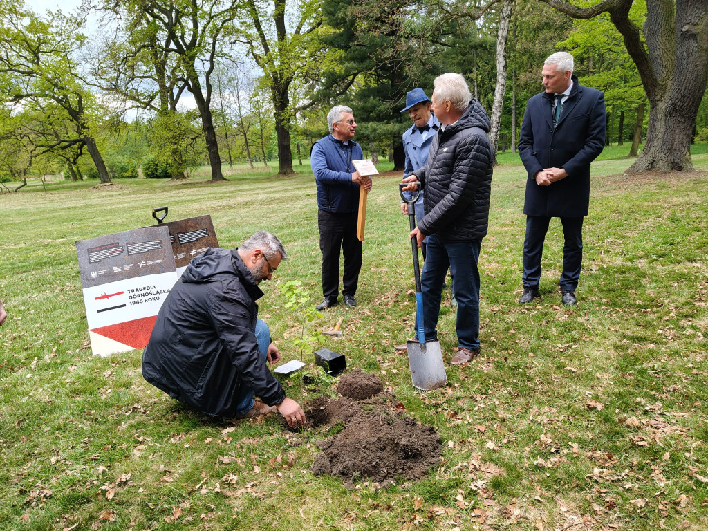 Świerklaniec. Pamiętają o tragedii, akcja w parku
