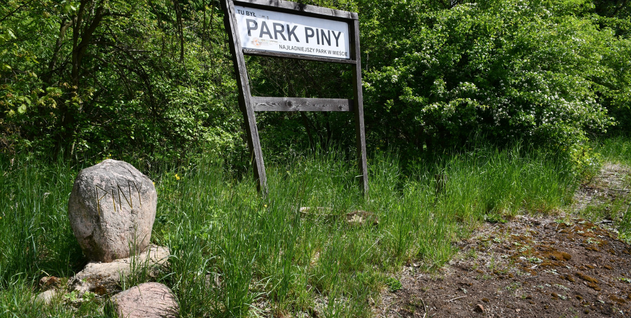 Co dalej z Parkiem Piny w Tarnowskich Górach?