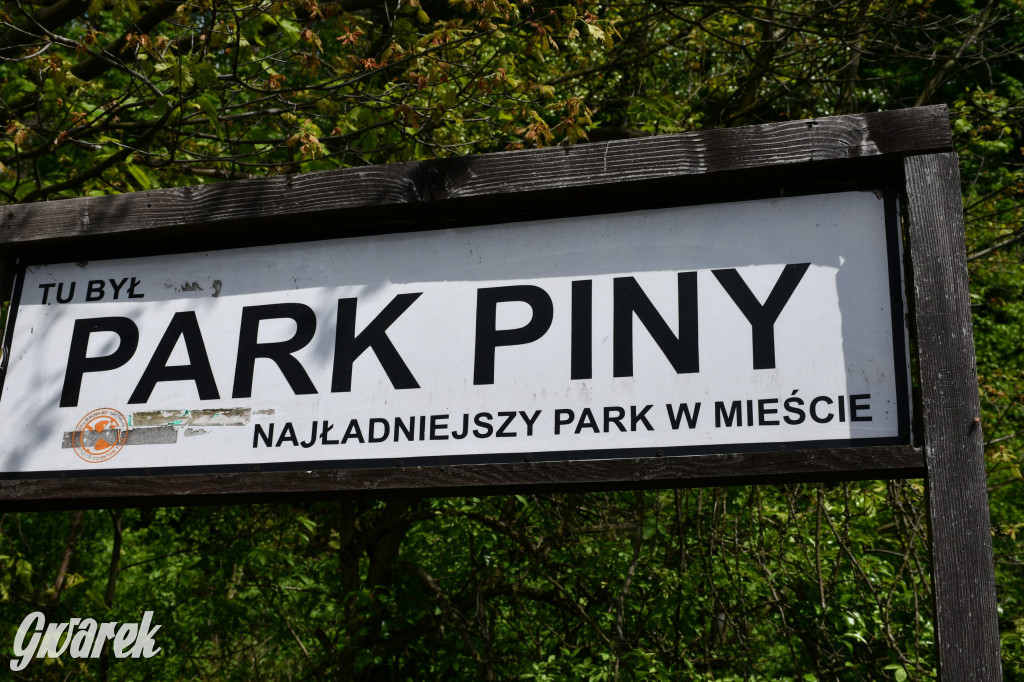 Co dalej z Parkiem Piny w Tarnowskich Górach?