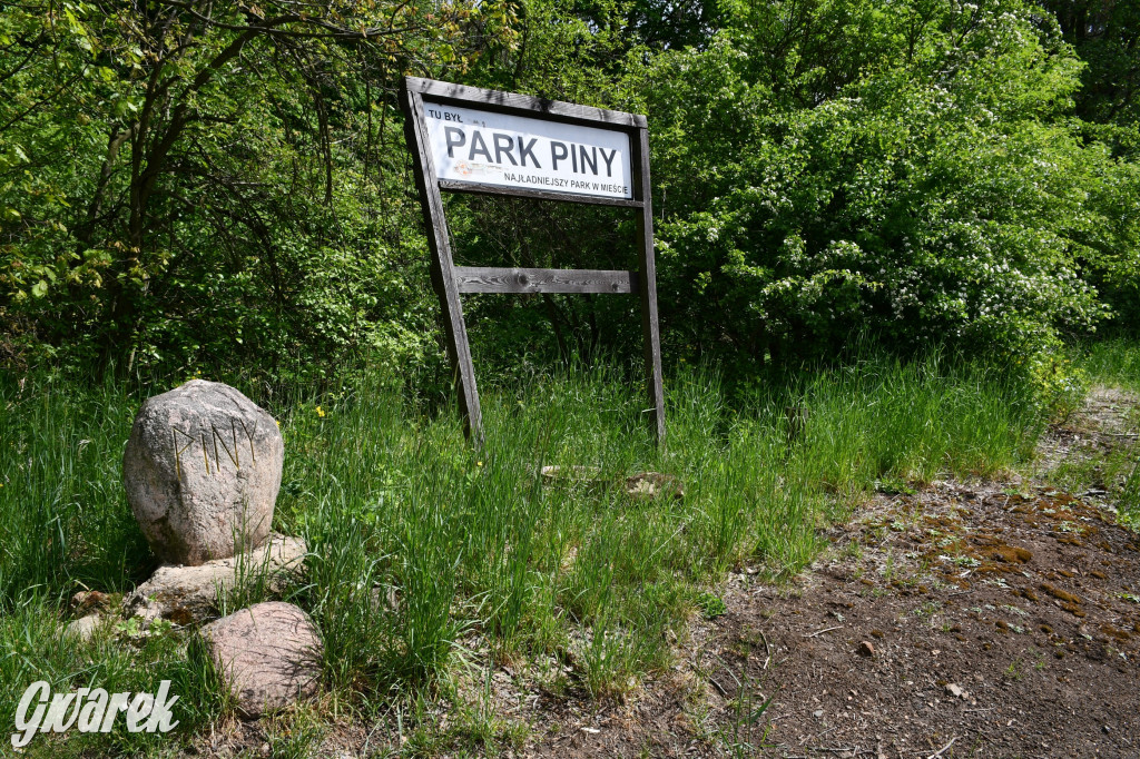 Co dalej z Parkiem Piny w Tarnowskich Górach?