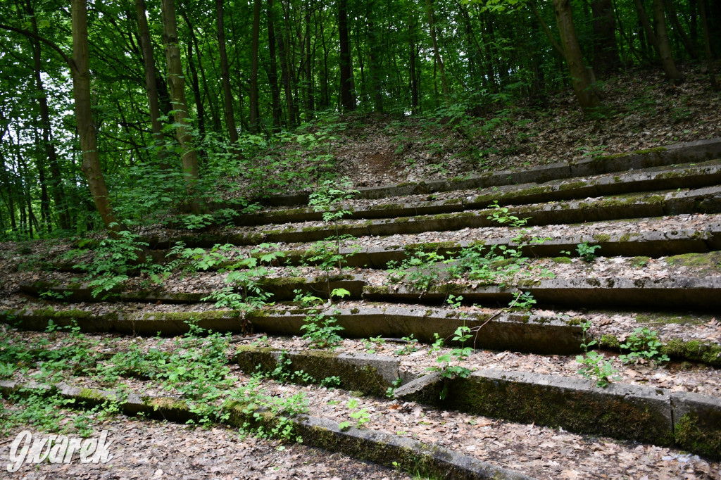 Co dalej z Parkiem Piny w Tarnowskich Górach?