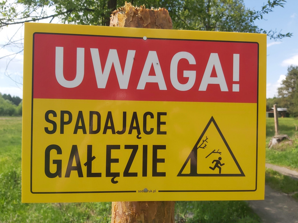 Do zameczku. Spadające gałęzie, ptaki i nietoperze