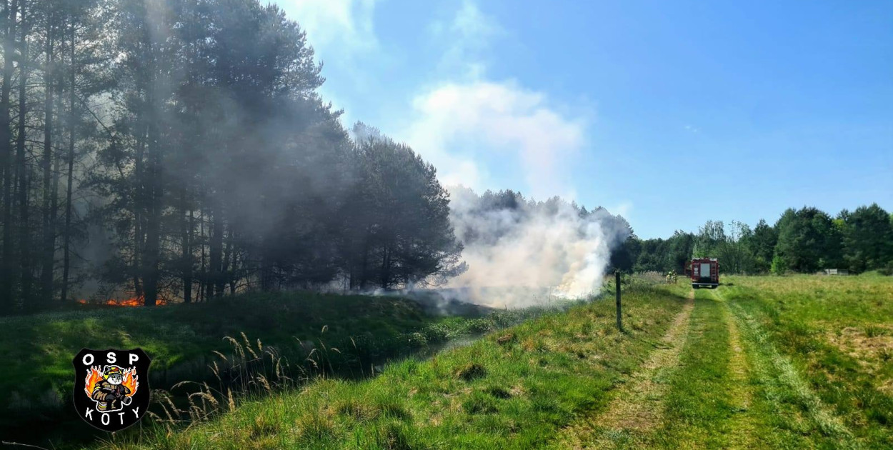 Pożar, do akcji skierowano śmigłowiec